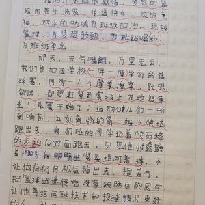 篮球训练的感受怎么写简短